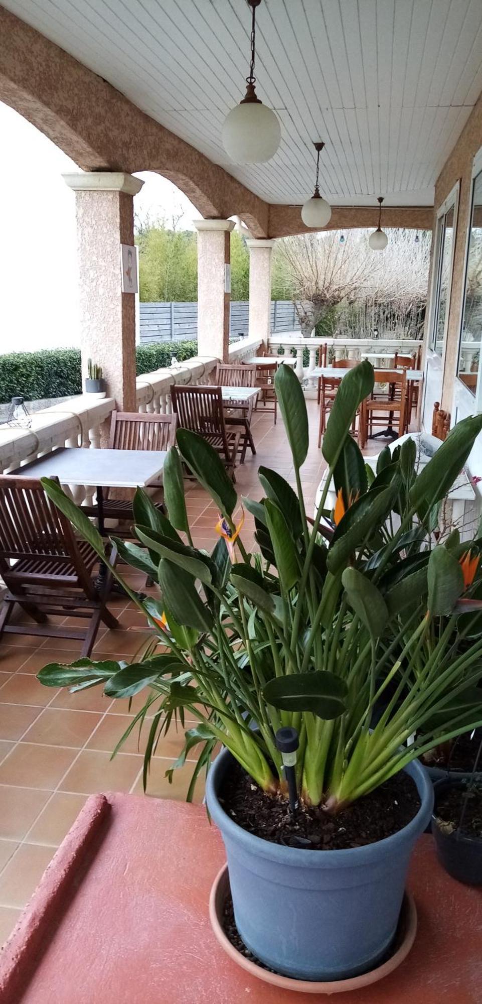 Le Grand Jardin Hotell Aujargues Eksteriør bilde